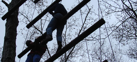 Guests climbing on the great ropes course.