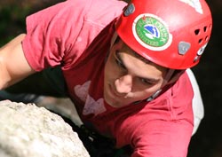Camp counselor climbing a tree in the ropes course during staff training